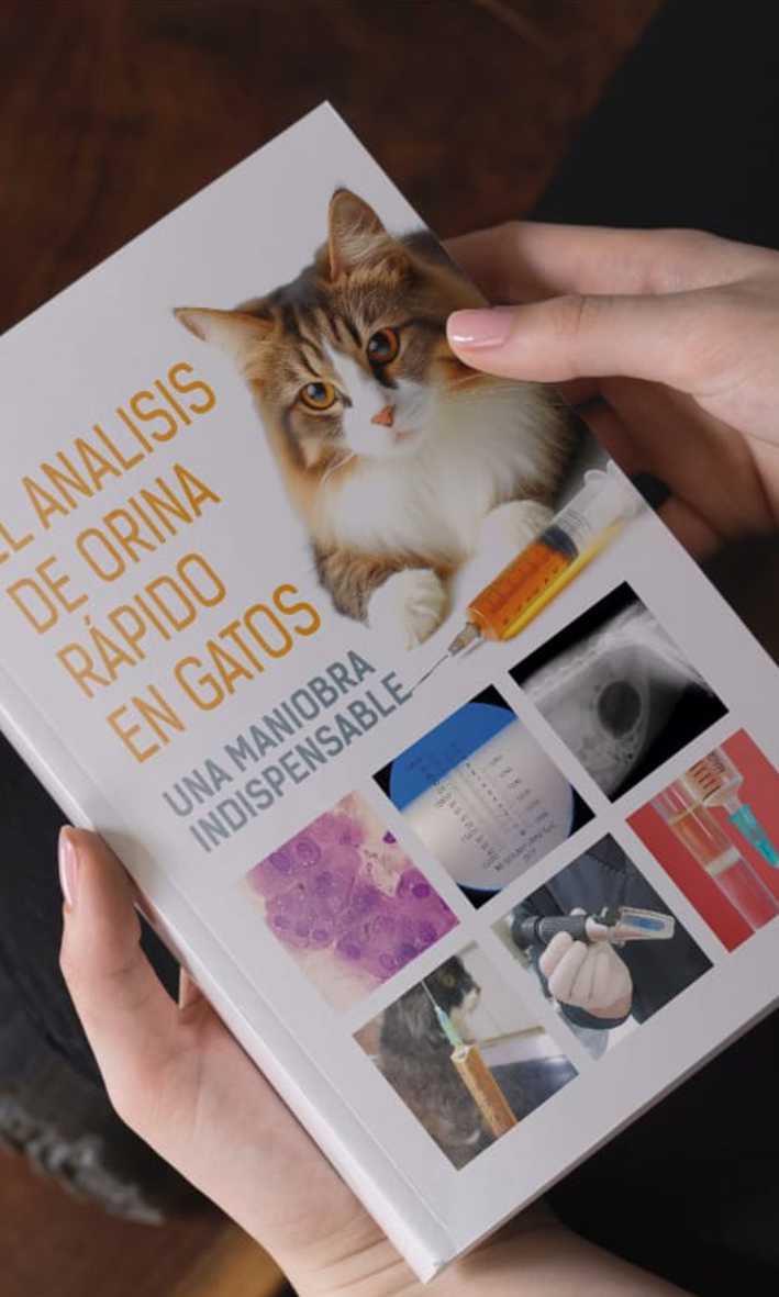 Libro de análisis de orina en gatos