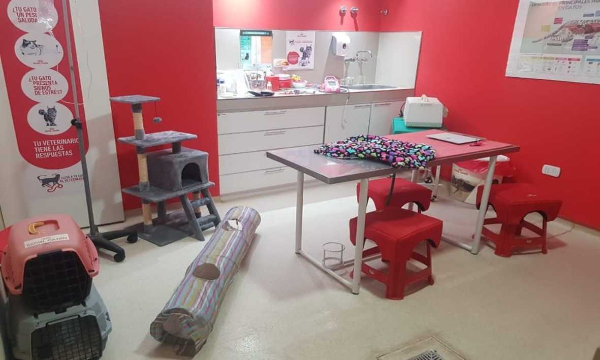 Consultas Generales y Especializadas